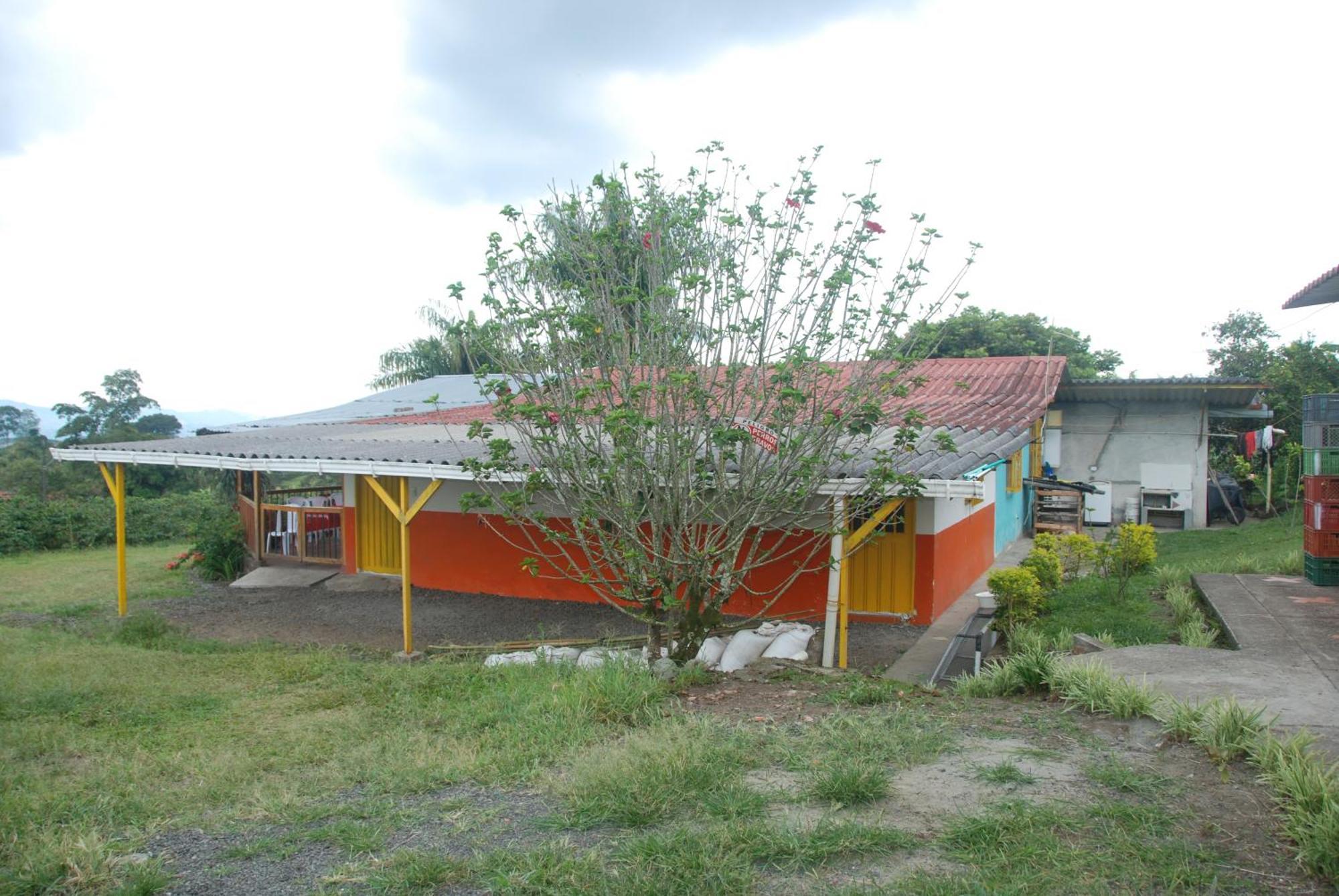 Finca En El Quindio Arrullo Cafetero Quimbaya Esterno foto